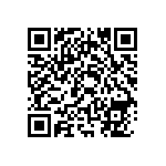 RWR81S1R13FSBSL QRCode