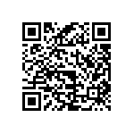 RWR81S95R3FRB12 QRCode