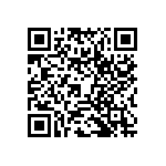 RWR89N95R3FSB12 QRCode