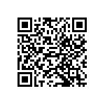 S40410161B1B2I013 QRCode