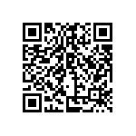 SIT1602BI-13-28S-33-300000D QRCode