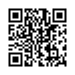 SMBG5343C-TR13 QRCode