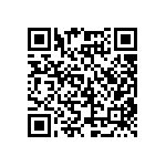 SMBG5378BE3-TR13 QRCode
