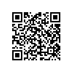 SQL48T20033-NDBBG QRCode