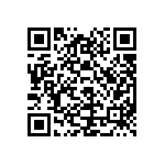 ST13L5S5V30BJ3J9322 QRCode