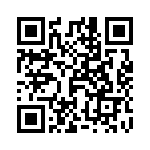 T-100-100 QRCode