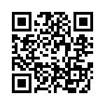 T-3363-132 QRCode