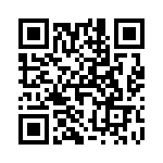 T101MH9V3QE QRCode