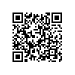 T11-2-1-00A-02-31AL-V QRCode