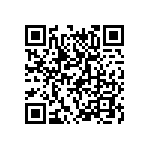 T11-4-2-00A-02-11B-V QRCode