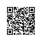 T1339160125-000 QRCode