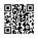 T29-8056-1 QRCode