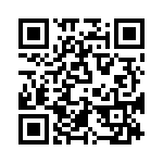 T29-9153-1 QRCode