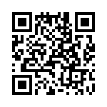 T38002-16-0 QRCode