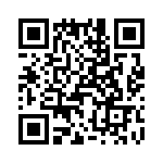 T38008-09-0 QRCode