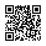 T38010-09-0 QRCode