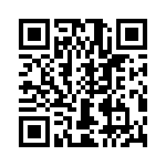 T38010-13-0 QRCode