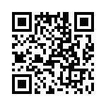 T38012-17-0 QRCode