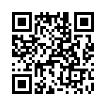 T38013-03-0 QRCode