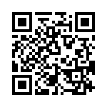 T38013-06-0 QRCode