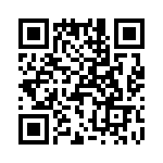 T38013-07-0 QRCode