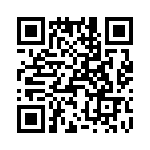 T38017-20-0 QRCode