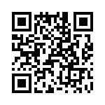 T38018-14-0 QRCode