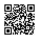 T38018-17-0 QRCode