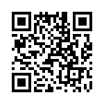 T38020-01-0 QRCode