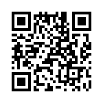 T38022-21-0 QRCode