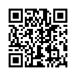 T38027-10-0 QRCode