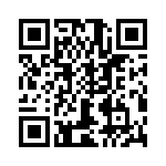 T38028-25-0 QRCode