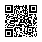 T38030-08-0 QRCode