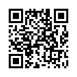 T38031-07-0 QRCode