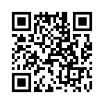 T38033-08-0 QRCode