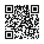 T38035-20-0 QRCode