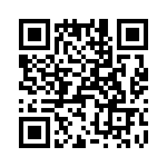 T38037-25-0 QRCode