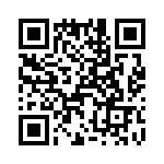 T38038-16-0 QRCode