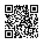 T38041-22-0 QRCode