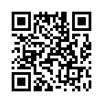 T38052-06-0 QRCode