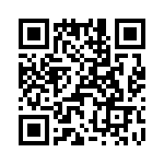 T38058-16-0 QRCode