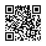 T38062-22-0 QRCode