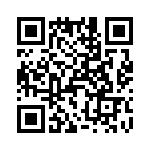 T38063-07-0 QRCode