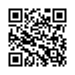 T38065-17-0 QRCode