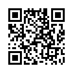 T38071-22-0 QRCode