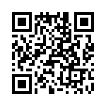 T38105-09-0 QRCode