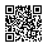 T38107-04-0 QRCode