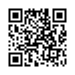 T38110-07-0 QRCode