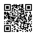 T38112-01-0 QRCode