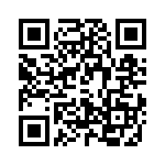 T38113-04-0 QRCode